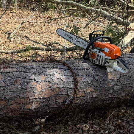 Tree Removal & Tree Services icon 2